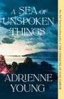 Text: "A Sea of Unspoken Things", "A Novel", "Adrienne Young".  
Szenerie: Dramatischer Himmel über einer ruhigen Küstenlandschaft.