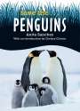 Anita Sanchez: Save The... Penguins, Buch