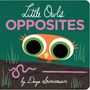 Divya Srinivasan: Little Owl's Opposites, Buch