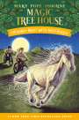 Mary Pope Osborne: Windy Night with Wild Horses, Buch