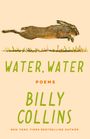 Billy Collins: Water, Water, Buch