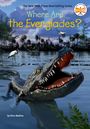 Nico Medina: Where Are the Everglades?, Buch