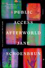 "PUBLIC ACCESS AFTERWORLD JANE SCHOENBRUN" ist von buntem, körnigem TV-Static umgeben.