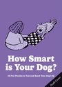 Text: "How Smart is Your Dog? 50 Fun Puzzles to Test and Boost Your Dog's IQ." Illustration: Kind spielt mit Hund Schach.