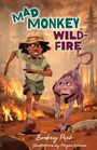 Text: "Mad Monkey and the Wildfire" von Bookey Peek, Illustrationen Mogau Kekana. Illustrationen von Kind und Affe vor Feuer.