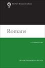 Beverly Roberts Gaventa: Romans, Buch