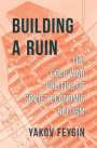 Yakov Feygin: Building a Ruin, Buch