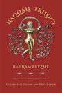 Bahram Beyzaie: Naqqali Trilogy, Buch
