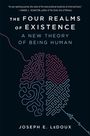 Joseph E LeDoux: The Four Realms of Existence, Buch