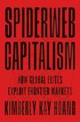 Kimberly Kay Hoang: Spiderweb Capitalism, Buch