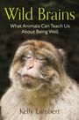 Kelly Lambert: Wild Brains, Buch
