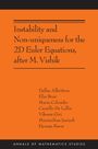 Camillo De Lellis: Instability and Non-Uniqueness for the 2D Euler Equations, After M. Vishik, Buch