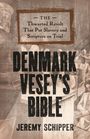 Jeremy Schipper: Denmark Vesey's Bible, Buch