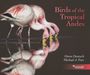 Michael J. Parr: Birds of the Tropical Andes, Buch