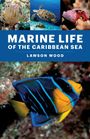 "MARINE LIFE OF THE CARIBBEAN SEA" von Lawson Wood. Bunte Fische, Meeresschildkröte, Anemonen, Einsiedlerkrebs.