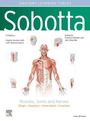 : Sobotta Learning Tables of Muscles, Joints and Nerves, English/Latin, Buch