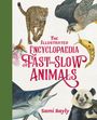 Sami Bayly: Bayly, S: Illustrated Encyclopaedia of Fast and Slow Animals, Buch