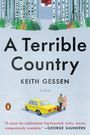 Keith Gessen: A Terrible Country, Buch