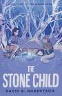 David A. Robertson: The Stone Child: The Misewa Saga, Book Three, Buch