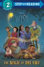 Random House Disney: Disney Wish Step Into Reading, Step 2, Buch