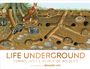 Dk: Life Underground: Tunnel Into a World of Wildlife, Buch