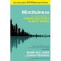 Danny Penman: Mindfulness, Buch