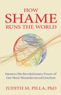 "HOW SHAME RUNS THE WORLD. Buntes Netz symbolisiert Emotionen. Autorenname: JUDITH M. PILLA, PhD."