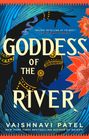 Vaishnavi Patel: Goddess of the River, Buch