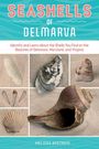 Melissa Avstreih: Seashells of Delmarva, Buch