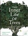 „The Inner Life of Trees“ von Herman Shugart, illustriert von Salma Price-Nell. Illustration: Baum mit Vögeln.