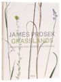 „JAMES PROSEK GRASSLANDS PAINTING THE AMERICAN PRAIRIE“ über Illustrationen von Gräsern und Blumen.