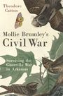 Theodore Catton: Mollie Brumley's Civil War, Buch