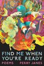 Perry Janes: Find Me When You're Ready, Buch