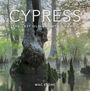 Text: "CYPRESS: THE LAST OLD-GROWTH SWAMPS MAC STONE."  
Großer Zypressenbaum in mystischem, moorigem Wald.