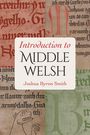 "Introduction to Middle Welsh, Joshua Byron Smith." Antike Texte und mittelalterliche Buchkunst in gedeckten Farben.