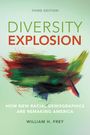 Text: "DIVERSITY EXPLOSION - HOW NEW RACIAL DEMOGRAPHICS ARE REMAKING AMERICA - WILLIAM H. FREY - THIRD EDITION". Farbige Pinselstriche.