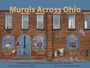Ian Adams: Murals Across Ohio, Buch