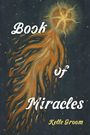 Kelle Groom: Book of Miracles, Buch