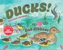 Gail Gibbons: Ducks! (New & Updated), Buch