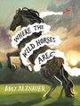 "WHERE THE WILD HORSES ARE" und "AMY ALZNAUER". Illustration eines steigenden Pferdes und eines roten Flugzeugs im Himmel.
