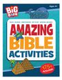 David C Cook: Big Book of Amazing Bible Activities, Buch