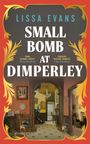 Lissa Evans: Small Bomb At Dimperly, Buch