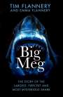 Tim Flannery: Big Meg, Buch