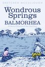Oben steht „Gretchen McCullough“. Darunter „The Wondrous Springs of Balmorhea“. Illustration: Menschen an einem Pool.