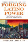 David R Ayón: Forging Latino Power, Buch