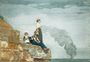 Winslow Homer: Winslow Homer in Watercolor, Buch