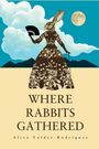 Alisa Valdés-Rodríguez: Where Rabbits Gathered, Buch