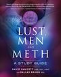 David M Fawcett: Lust, Men and Meth, Buch