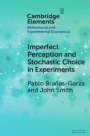 Pablo Brañas-Garza: Imperfect Perception and Stochastic Choice in Experiments, Buch