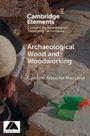 Caroline Arbuckle Macleod: Archaeological Wood and Woodworking, Buch